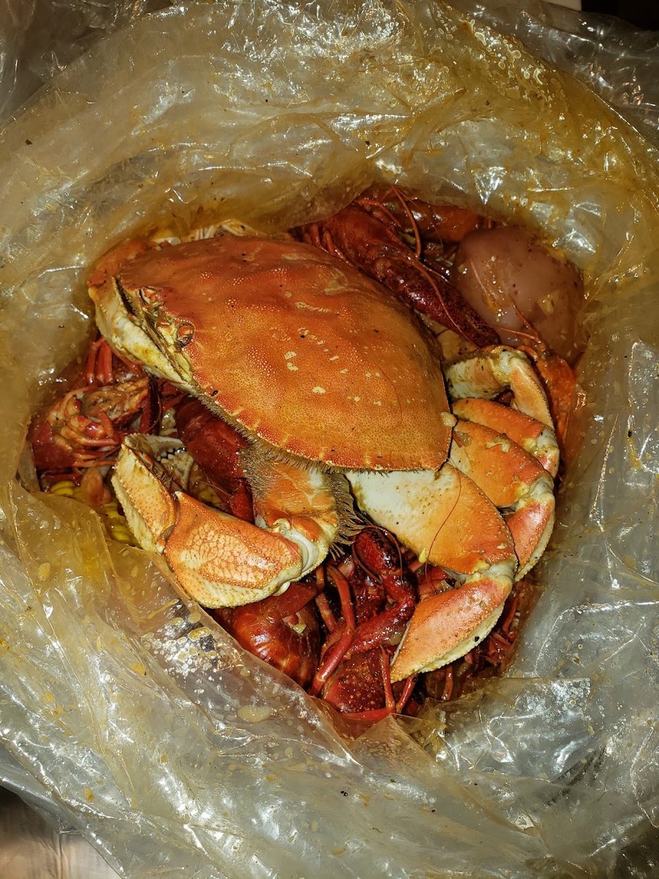 Dungeness Crab 1 75 lb
